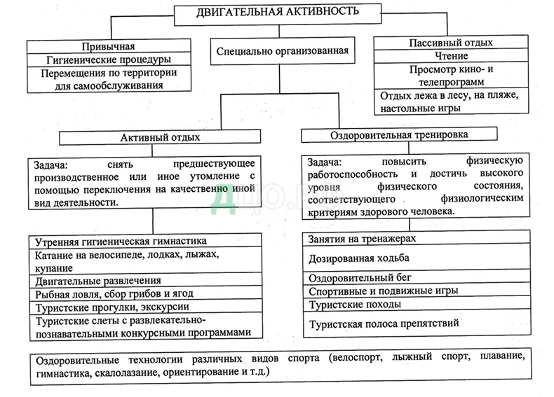 Курсовая работа: Физическая рекреация как компонент физической культуры